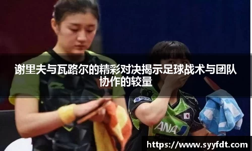 金年会